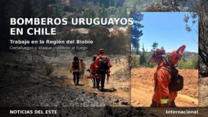 Bomberos uruguayos en Chile: cómo avanza el combate de incendios en Biobío y qué tareas realiza la delegación