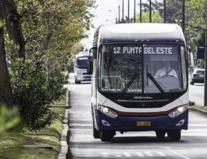 Desfile de Carnaval en Maldonado: cambian recorridos de ómnibus desde las 19:30 del sábado 21