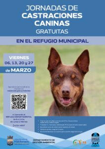 Castraciones caninas gratuitas en Maldonado: la guardia continuará durante marzo