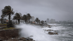 Vuelven los vientos fuertes: rachas de hasta 80 km/h afectarán la costa sur y este